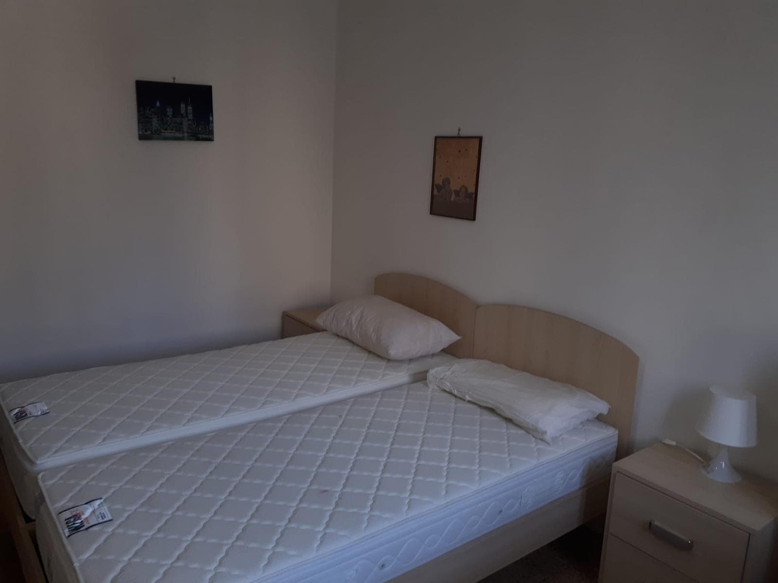 Habitación privada en Pisa photo 3